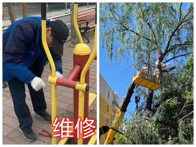 口的“爆改”打造多彩龙腾苑六区社区凯发k8国际登录“六色助力”！家门(图16)