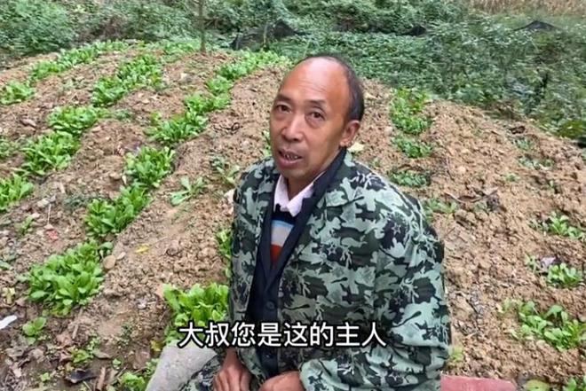 无人烟主人称500万都不卖！重庆深山一百年崖居方圆几公里(图21)